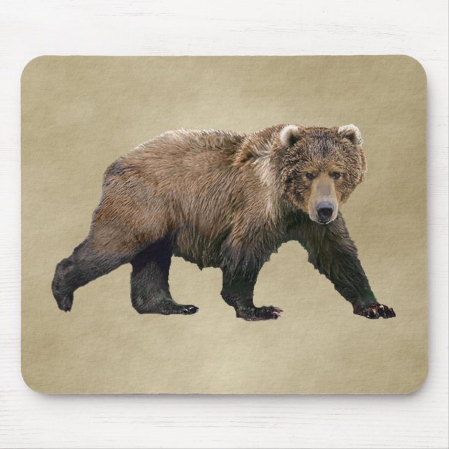 Kodiak Bear Musmatta (Framsidan)