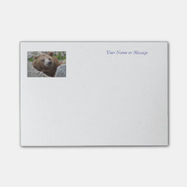 Kodiak Bear Post-it Block