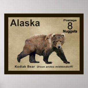 Kodiak Bear Poster