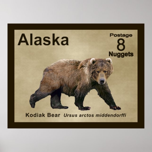 Kodiak Bear Poster (Framsidan)