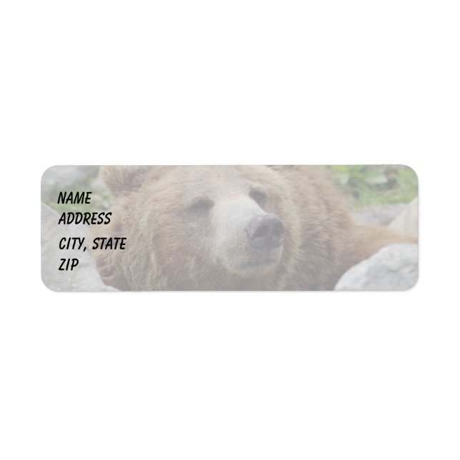 Kodiak Bear Returadress Etikett (Framsidan)