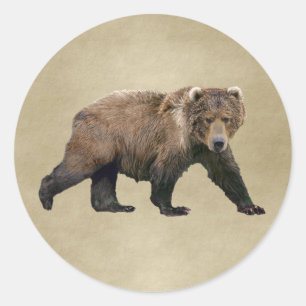 Kodiak Bear Runt Klistermärke
