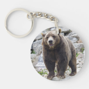 Kodiak Bear Ställen vid Sten