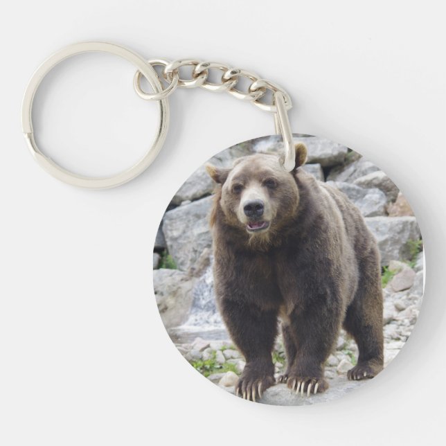 Kodiak Bear Ställen vid Sten (Framsidan)
