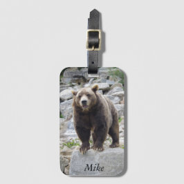 Kodiak Bear Ställen vid Sten Bagagebricka