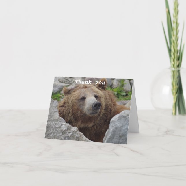 Kodiak Bear Tack Kort (Framsida)