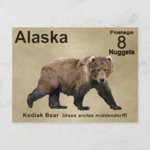 Kodiak Bear Vykort