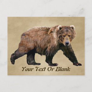 Kodiak Bear Vykort
