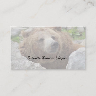 Kodiak björn visitkort