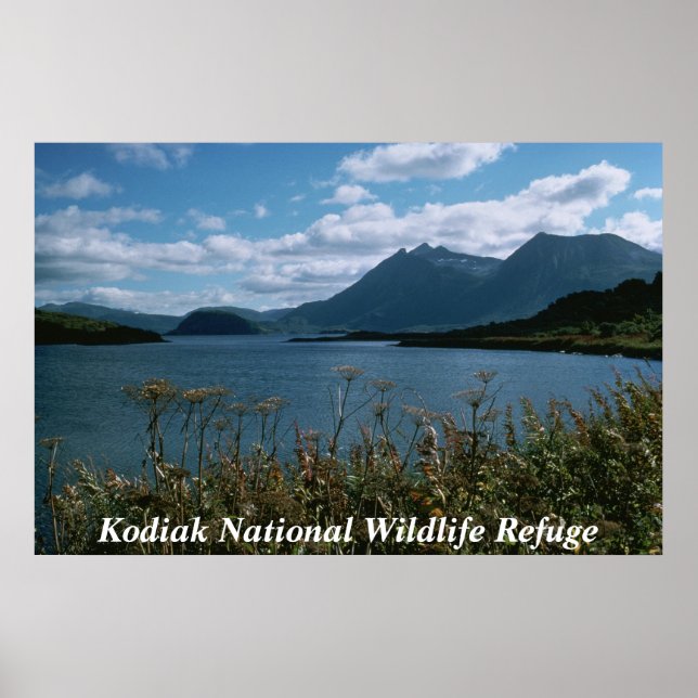 Kodiak National Wildlife Refuge Poster (Framsidan)