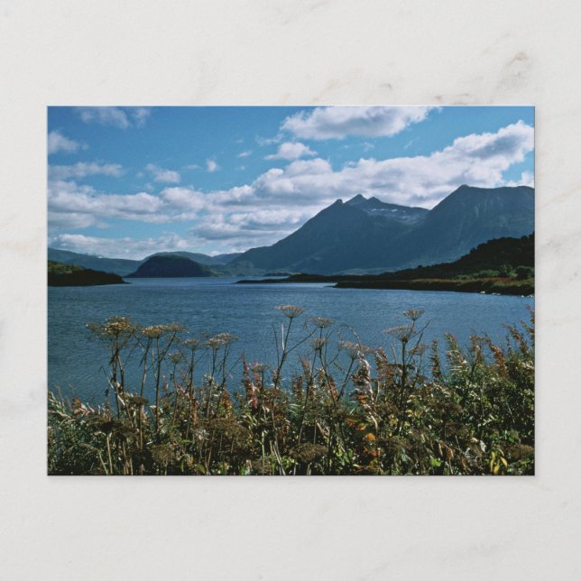 Kodiak National Wildlife Refuge Vykort (Framsida)