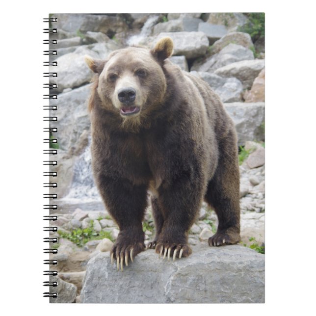 Kodiakbjörn Anteckningsbok (Framsidan)