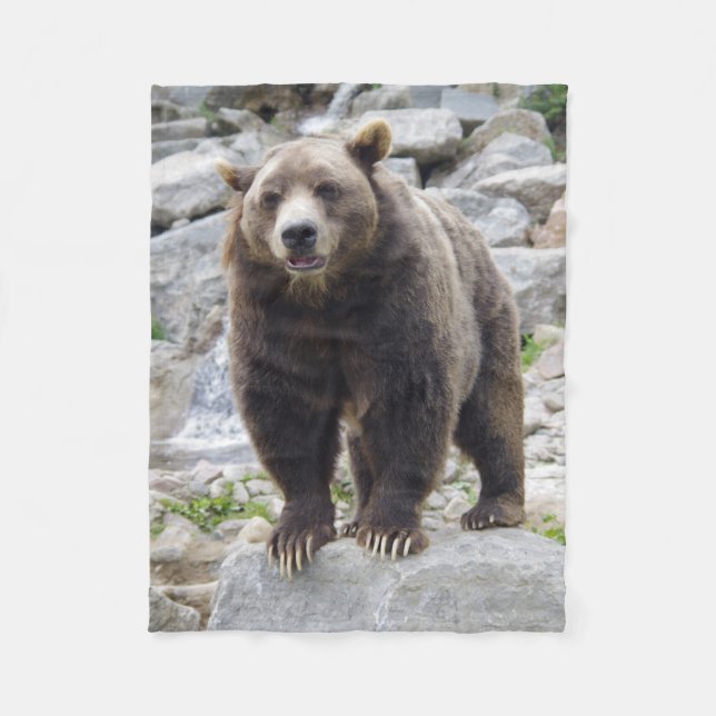 Kodiakbjörn Fleecefilt (Framsidan)