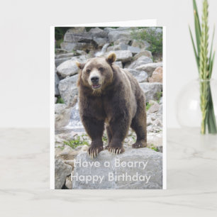 Kodiakbjörn står vid sten kort