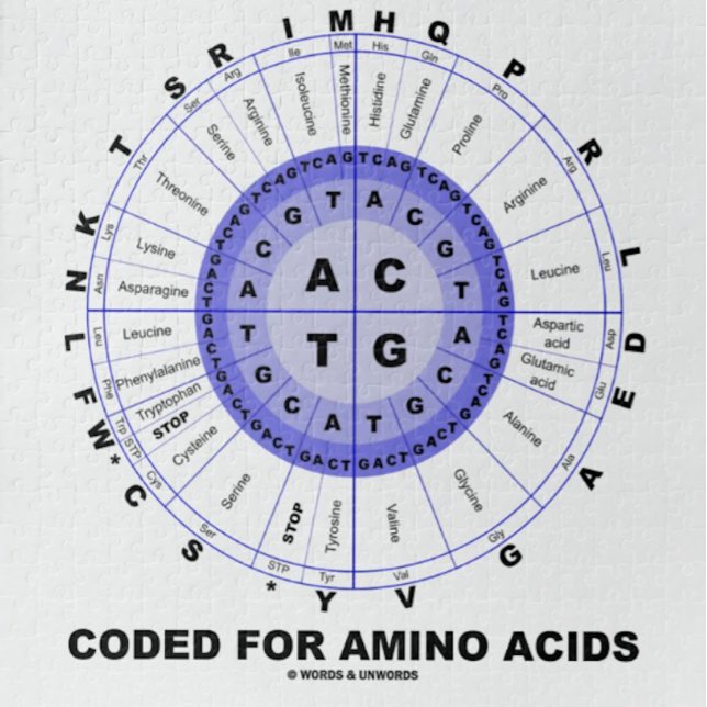 Kodifierat för Amino syror (genetisk kodDNA) Pussel (Jigsaw puzzle featuring codon wheel for anyone who is "Coded For Amino Acids" & that means everyone!)