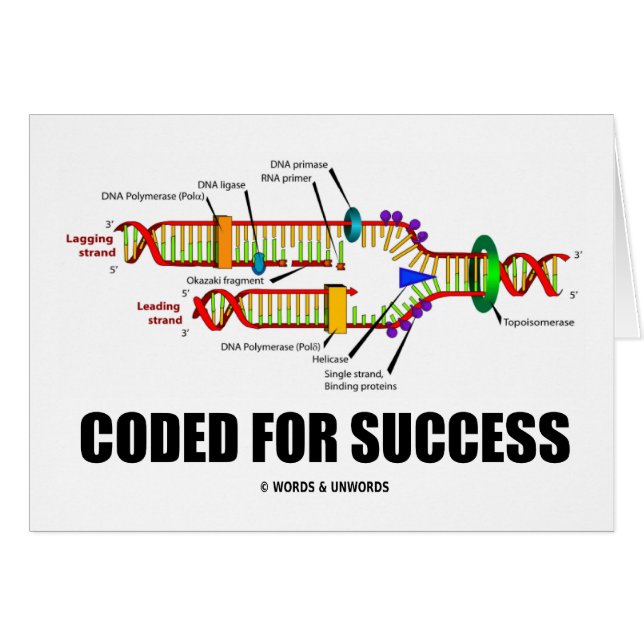 Kodifierat för framgång (DNA-replicationen) Hälsningskort (Framsidan Horizontal)