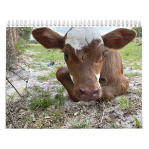 Kodkalender 2024 kalender