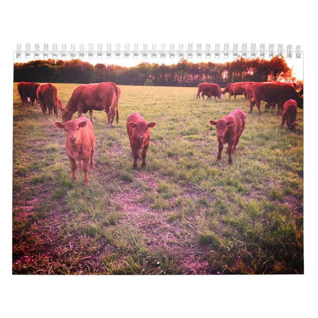 Kodkalender Kalender (Omslag)