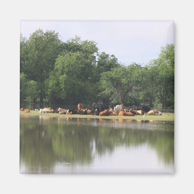 Kodmagnet Magnet (Framsidan)