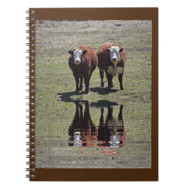 Kodreflektioner Anteckningsbok
