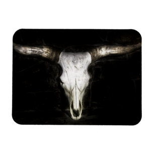 Kodskal Magnet