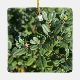Koffeberry Julgransprydnad Keramik