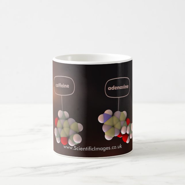 Koffein och Adenosine Kaffemugg (Center)