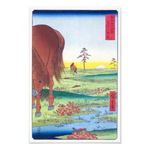 Kogane Plain in in Shimō sa Province Hiroshige Fototryck