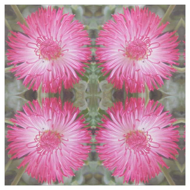 Kogent Tyg (Provkarta)