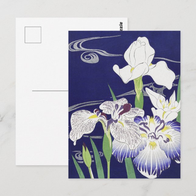 Kogyo Tsukioka Irises,Japansk blomkonst Vykort (Fram/baksida)