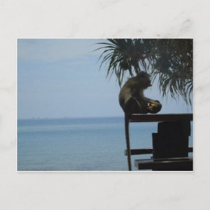 Koh Lanta Vykort