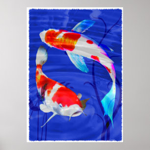 Kohaku Duo i Deep Blue Pond Poster