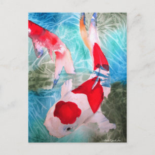 Kohaku Koi 2 Vykort
