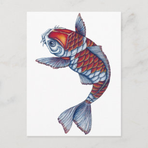 Kohaku Koi Fish Vykort