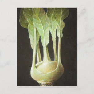 Kohl Rabi 2012 Vykort
