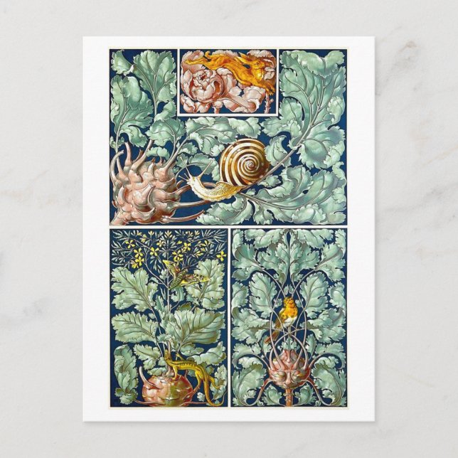 Kohlrabi som vykort för dekorativa objekt (Framsida)