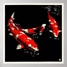 Koi - Arkivkonsttryck