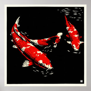 Koi - Arkivkonsttryck Poster