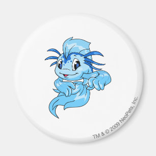 Koi blått magnet