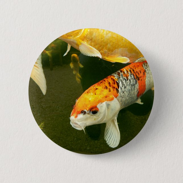 Koi Carp Badge Knapp (Framsida)