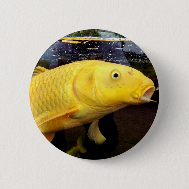 Koi Carp Badge Knapp (Framsida)