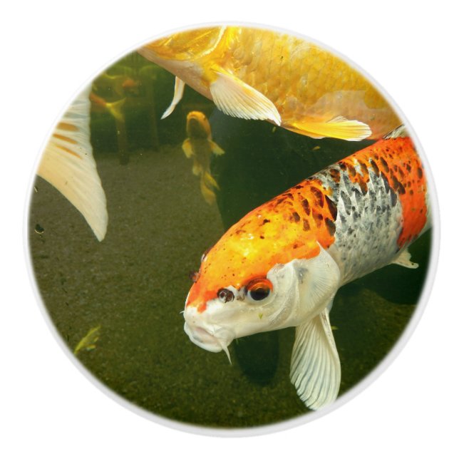 Koi Carp Ceramic Knob Knopp (Framsidan)