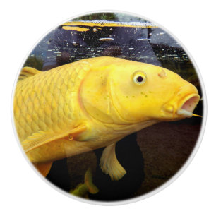 Koi Carp Ceramic Knob Knopp