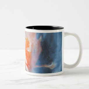 Koi Carp (cyprinusen carpio), Japan Två-Tonad Mugg