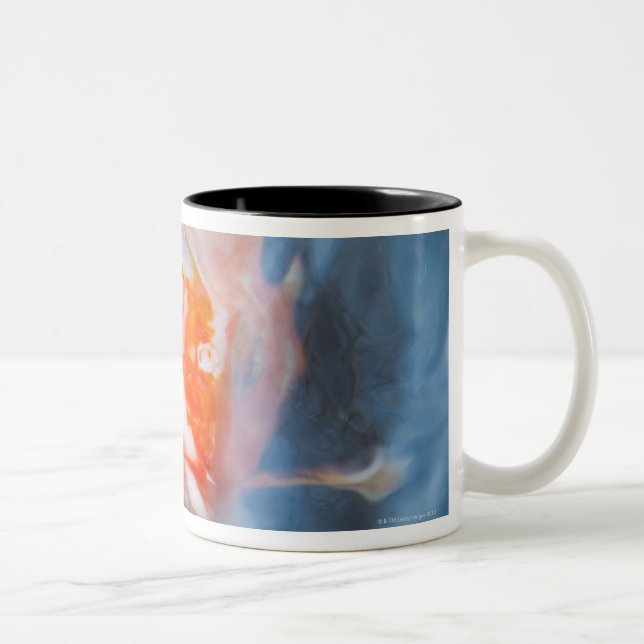 Koi Carp (cyprinusen carpio), Japan Två-Tonad Mugg (Höger)