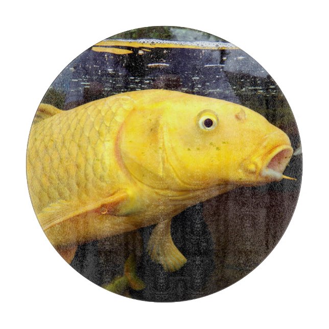 Koi Carp Glass Chopping Board (Framsidan)