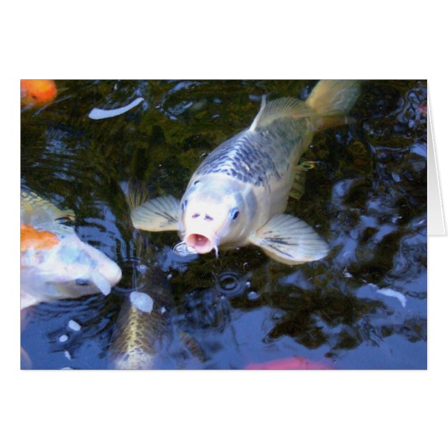 Koi Carp Hälsningskort (Framsidan Horizontal)