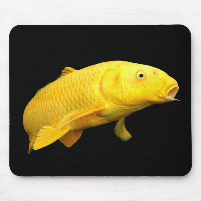 Koi Carp Musmatta (Framsidan)