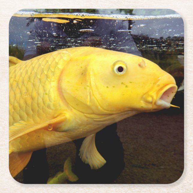 Koi Carp Papper Underlägg Kvadrat (Framsidan)