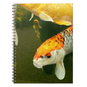 Koi Carp Photo Notebook Anteckningsbok